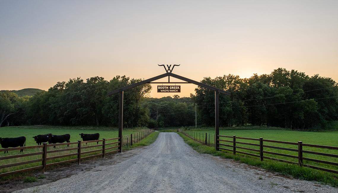 Booth Creek Wagyu's farm in Kansas where the cattle is raised before it goes to their processing plant.